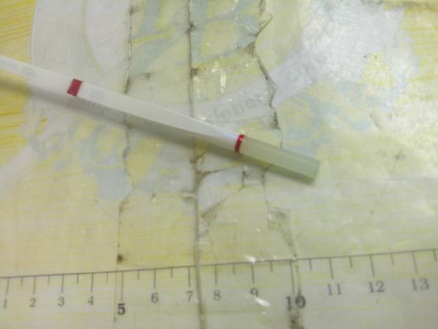 クリスティア ワカサギ 胴調子SS26.5SSS