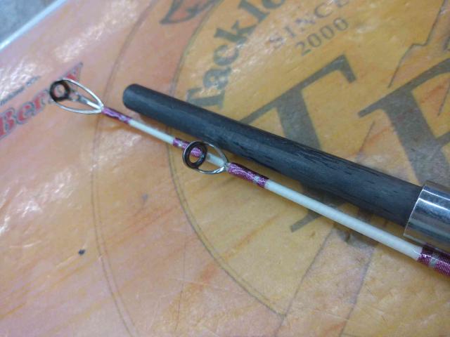 シグナス ザ ヒラメ295