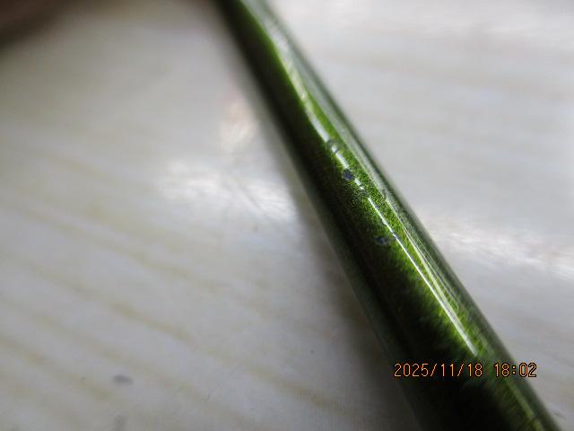 ロードランナーヴォイス HB6100M-Gc ブレードベイトバキューム