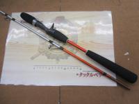 リーディングエッジパラボライト200