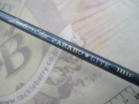 リーダーズエッジパラボライト181F