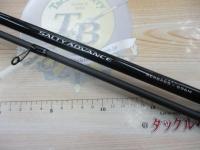 19ソルティーアドバンスシーバス S96M