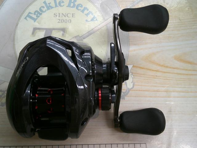 カシータスMGL 100 RH