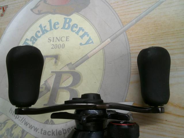 カシータスMGL 100 RH