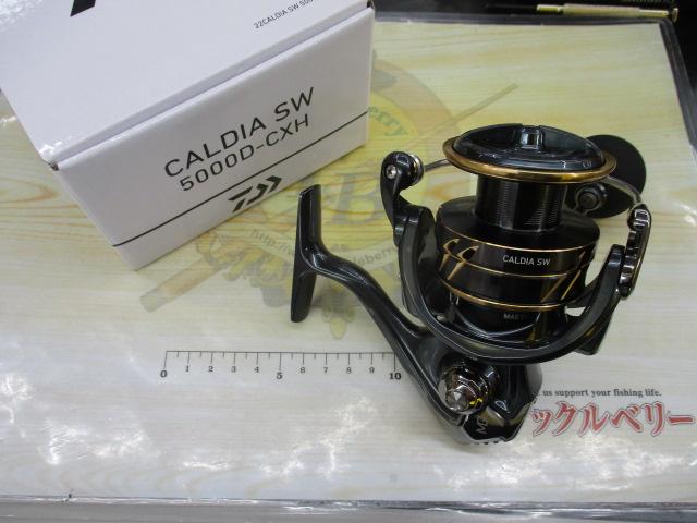 22カルディアSW 5000D-CXH