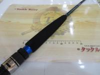 ソルティガコースタル SG ヒラマサ 56HS