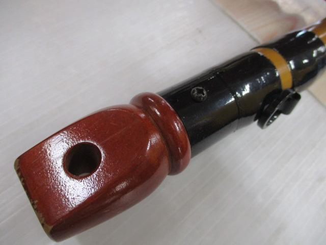 インストラクター鯉スペシャルアラミカ 520