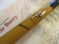 インストラクター鯉スペシャルアラミカ 520