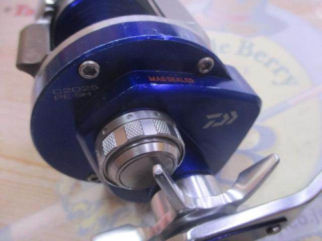 14リョウガ ベイジギング C2025PE-SH