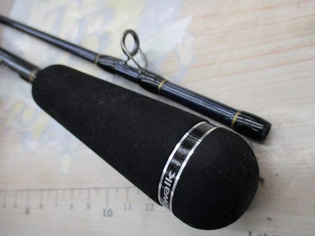 ボートゲーマーSSD C66ML