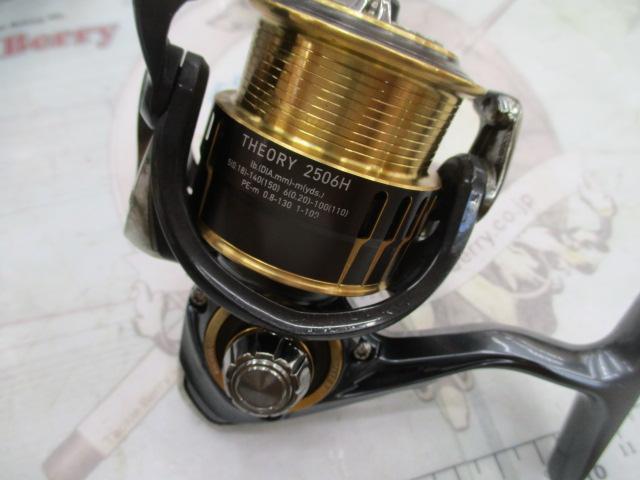 17セオリー 2506H