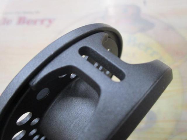 ロッホモア 100A