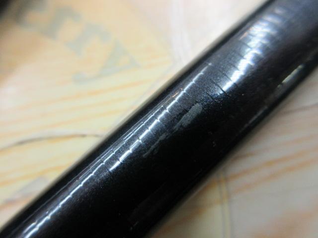 渓流清瀬 ミノムシ51