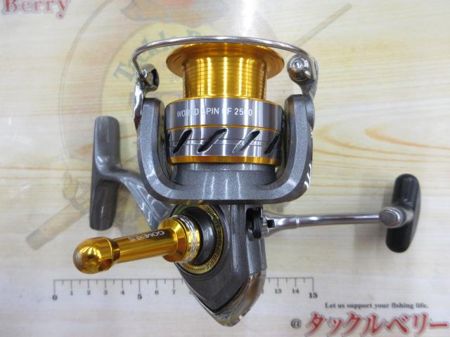 17ワールドスピンCF 2500