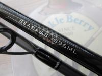 19ソルティーアドバンスシーバス S96ML