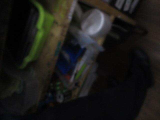 ポイズンアドレナ 174H-PF