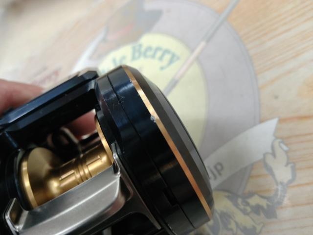 21ソルティガIC 100PL-DH