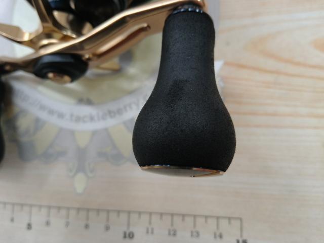 21ソルティガIC 100PL-DH