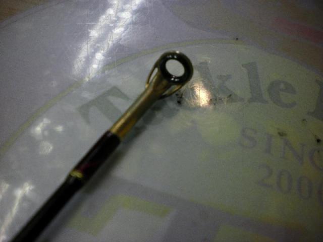 ゴールデンウィング GW58CMJ