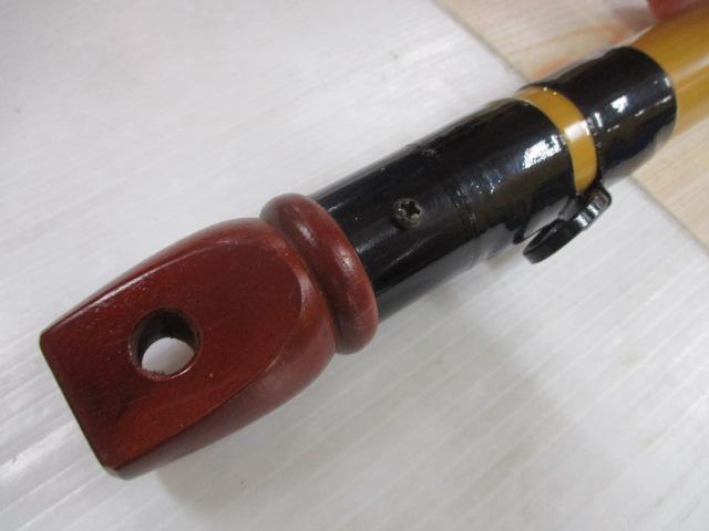 インストラクター鯉スペシャルアラミカ 520