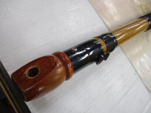 インストラクター鯉スペシャルアラミカ 520