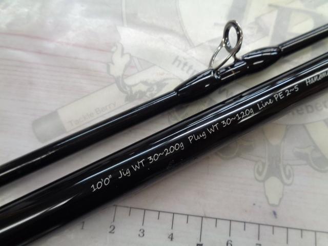 デフィーミュートス DMアキュラ 100H (RGモデル/RV)