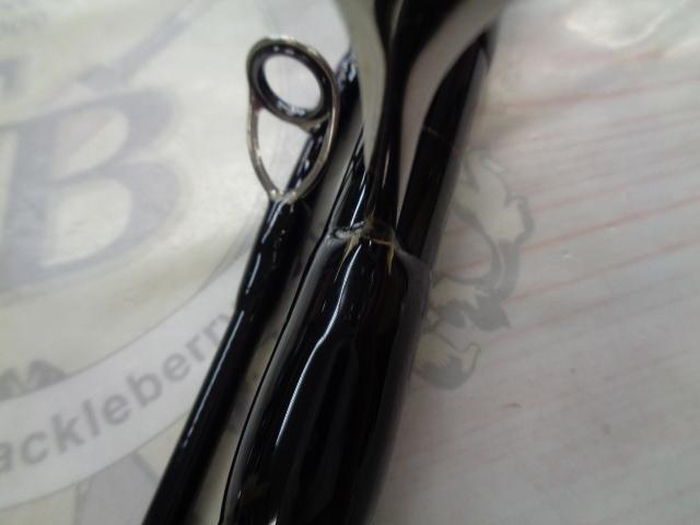 デフィーミュートス DMアキュラ 100H (RGモデル/RV)