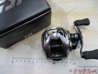 スティーズリミテッド SV TW 1000