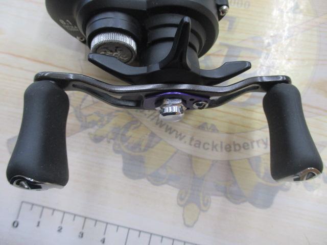 タトゥーラ TW 100XH