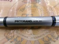 プログランド 4-53遠投