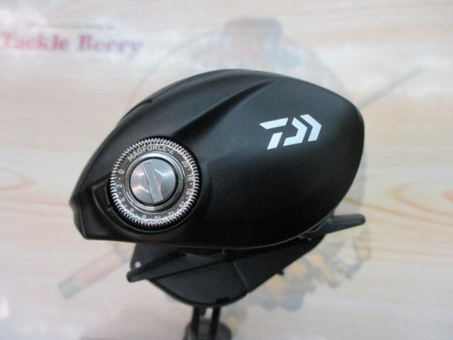 24タトゥーラ TW 100