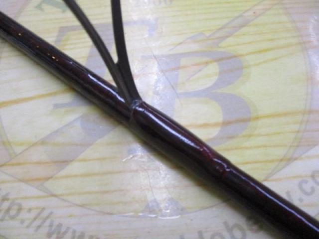 スコーピオン 2601F-4｜＠ベリーネット 日本最大新品中古釣具WEBショップ