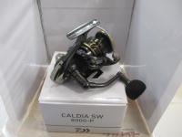 22カルディアSW 8000-P