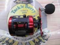 17ダイナスター 250