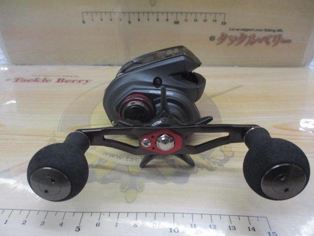 キャタリナIC 100SH