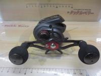 キャタリナIC 100SH