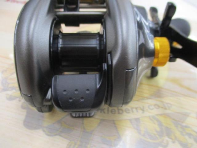 12エクスセンスDC RH