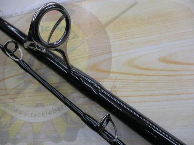 デフィーミュートス DMアキュラ 100H (RGモデル/RV)