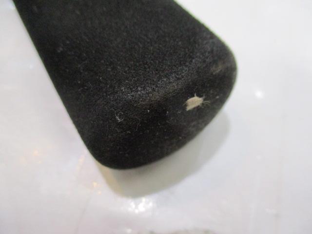 がま船アジビシ 2.0