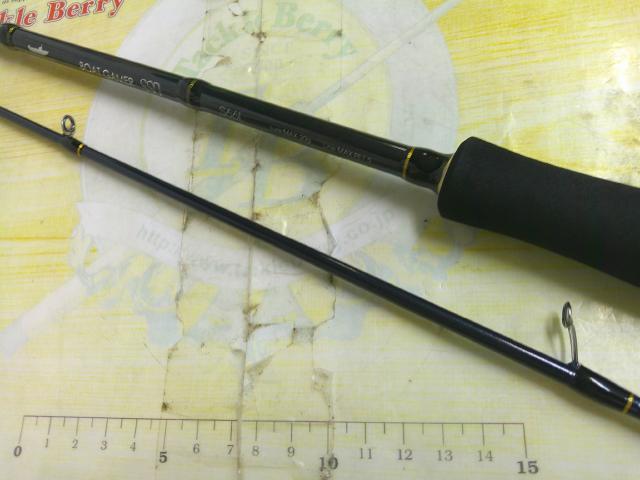 ボートゲーマーSSD S66L