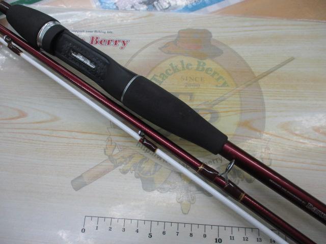 リーディング-X メバル 300(1)