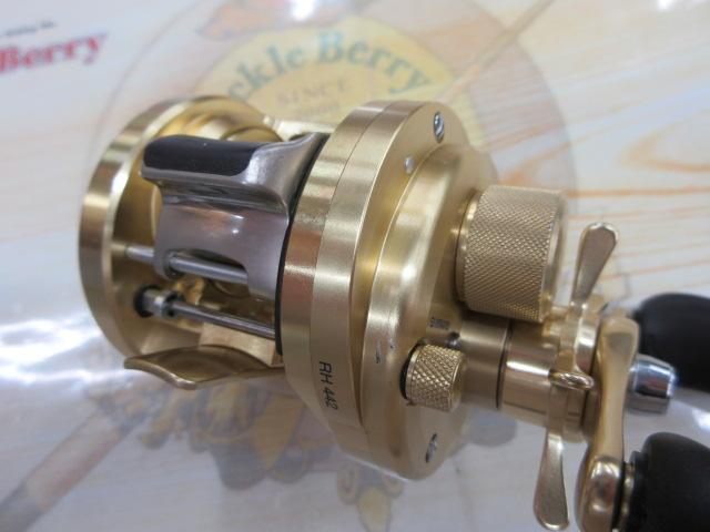 01カルカッタコンクエスト 100