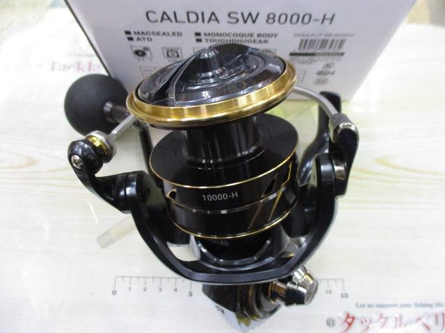 22カルディアSW 8000-H