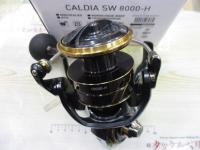 22カルディアSW 8000-H