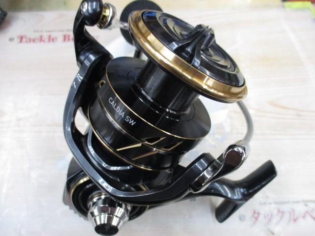 22カルディアSW 10000-H