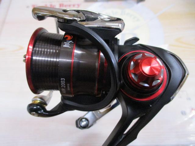 17月下美人エア 2003