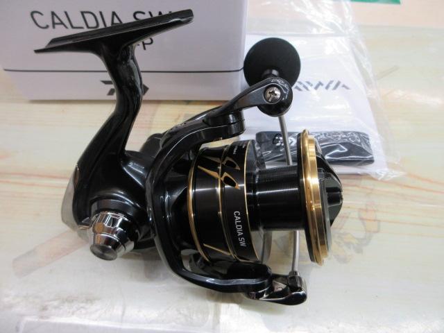 22カルディアSW 10000-P