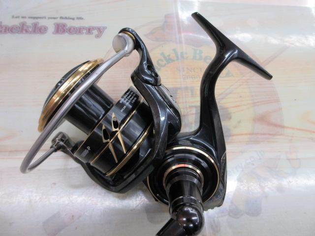 22カルディアSW 10000-P