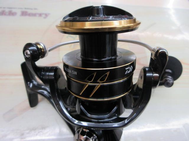 22カルディアSW 10000-P