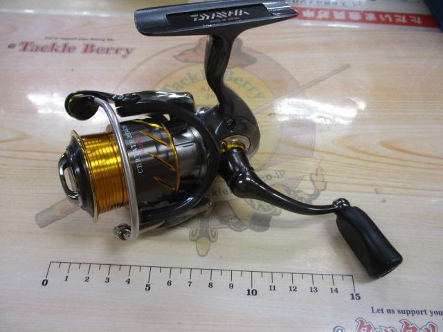 13セルテート 2004CH